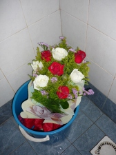 bunga aku simpan kat toilet.. nak bg sejuk & thn sampai esok